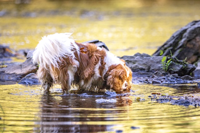 300 0A8A3410 Moyenne